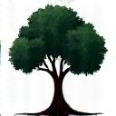 Icona di un albero con radici profonde, simbolo di longevità e vitalità.