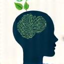Icona di un cervello stilizzato con foglie, simbolo di benessere mentale.